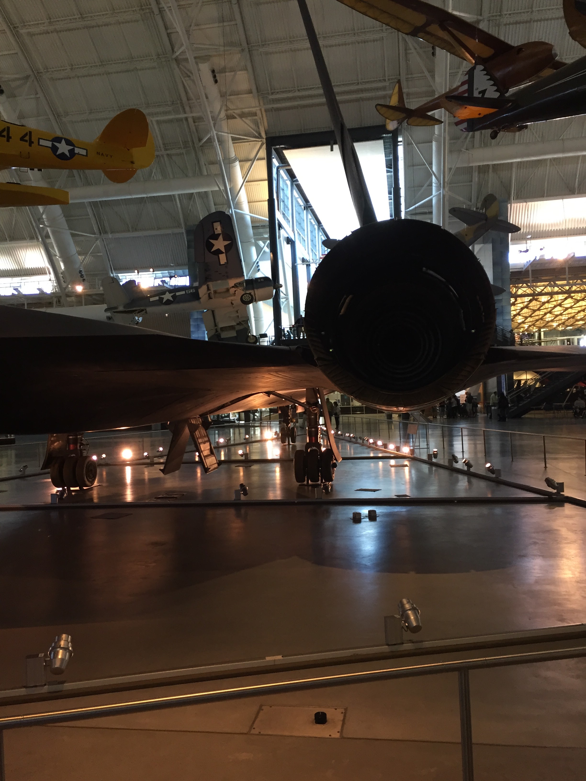 Img 2883 Livefrugalee